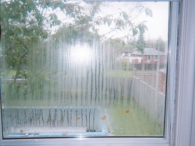 Foggy glass replacement